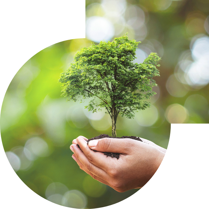 关怀人类、文化、环境与社会